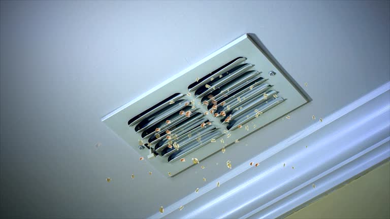 Best Air Duct Cleaning Near Me  in Tallapoosa, GA